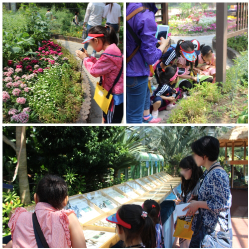 가족집단프로그램 \"유행가\" 3차 활동